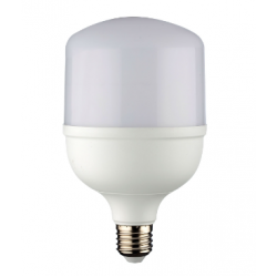 30W Led Torch Ampul Beyaz Noas