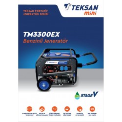 Benzinli Portatif Jeneratör TM 3300EX-EURO V 4 Kva