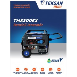 Benzinli Portatif Jeneratör TM 8300EX 10kva Teksan10kva 