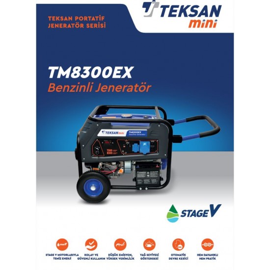 Benzinli Portatif Jeneratör TM 8300EX 10kva Teksan10kva 