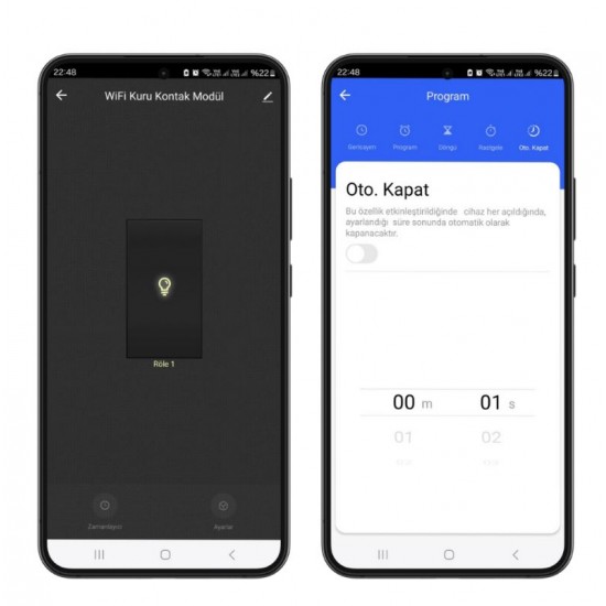WiFi AC DC Kuru Kontak Röle